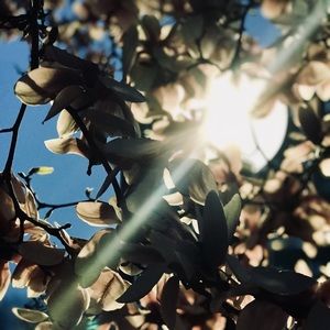 Meet your Posher, Chelsea